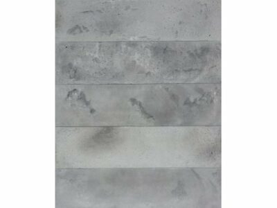 Product Image for Champlain concrete planks 