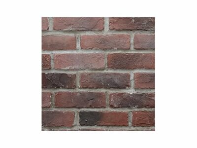 Product Image for Old Montreal Brick Veneer 