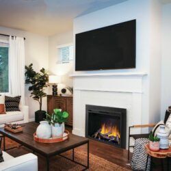Napoleon NEFB42H-BS Element 42 Insert | Stylish Fireplaces