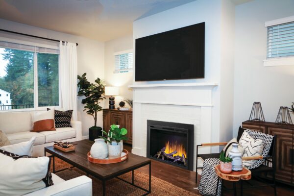 LIVING ROOM WITH NAPOLEON NEFB42H-BS ELEMENT ELECTRIC FIREPLACE INSERT