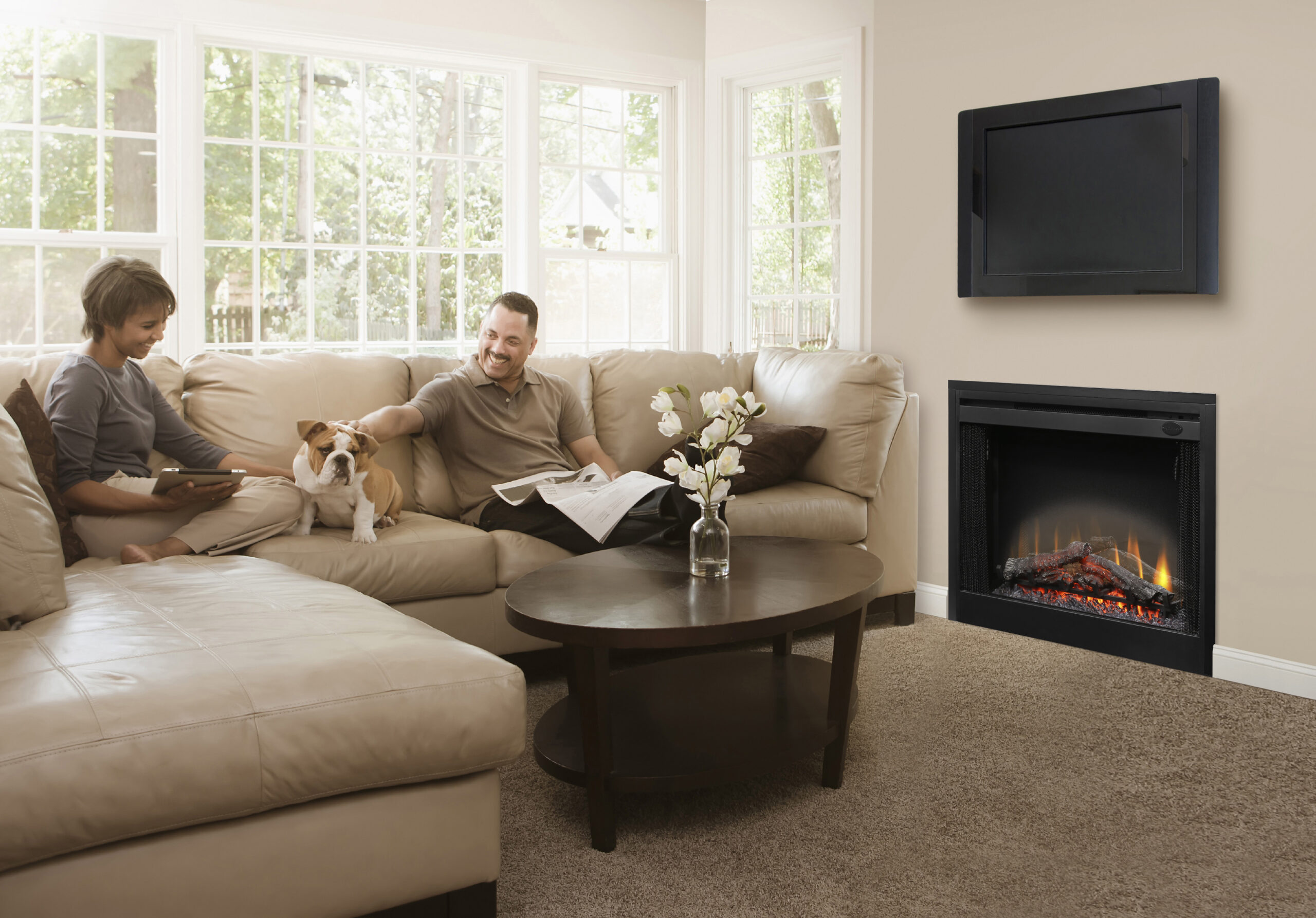 Dimplex BF39DXP fireplace insert