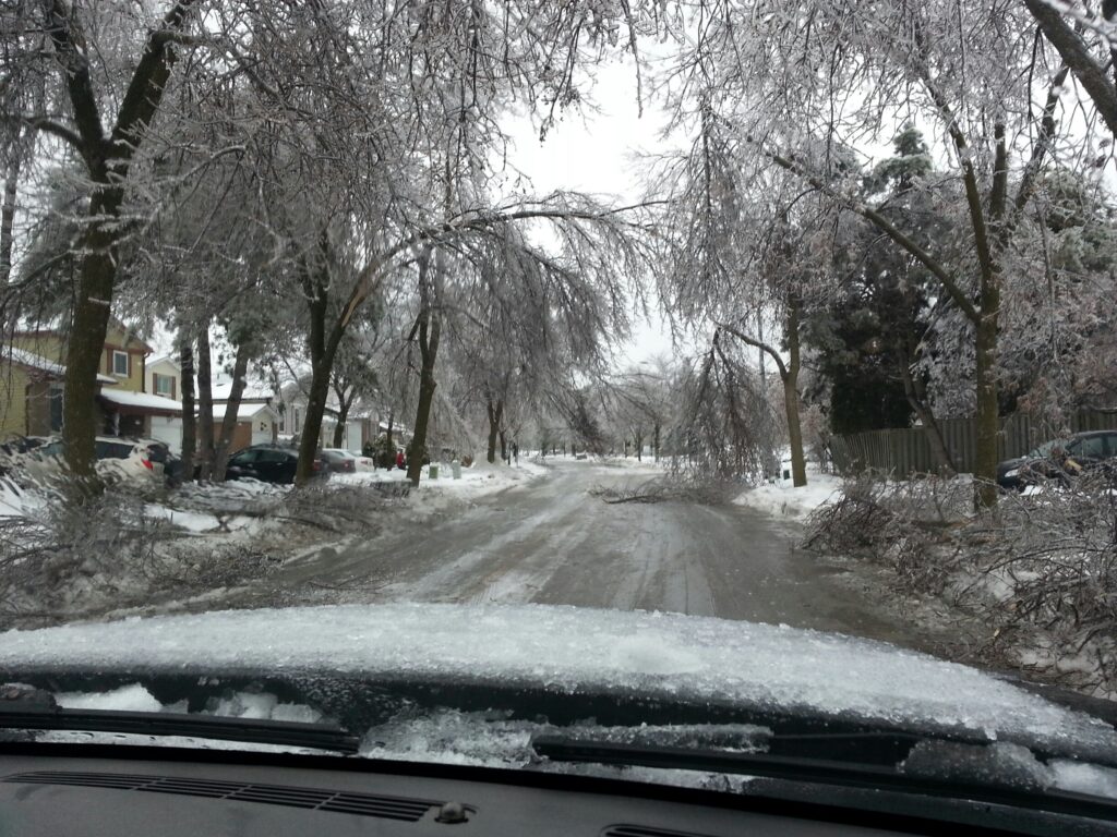 ice storm aftermath