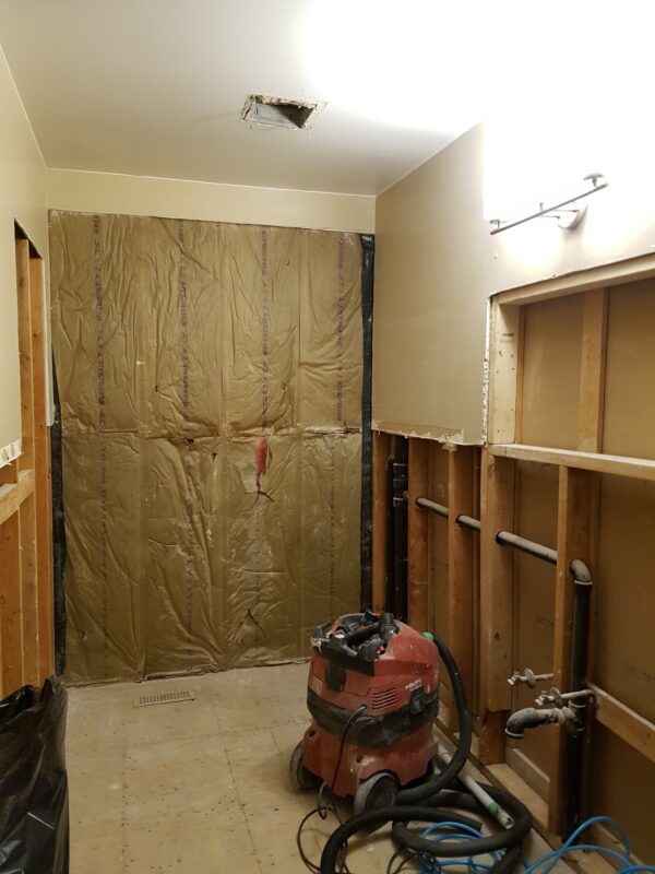 main bathroom before
