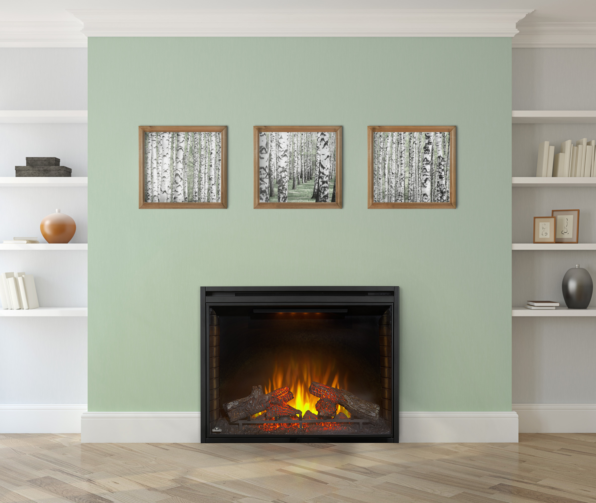 Product Image for Napoleon NEFB40H Ascent 40 Built-in Electric Fireplace Insert 