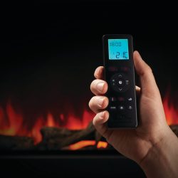 Napoleon Astound F62 Details Remote