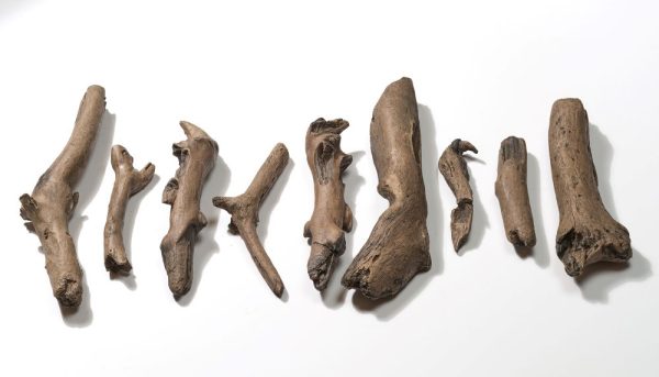 Dimplex CDWD1 driftwood 9 pieces