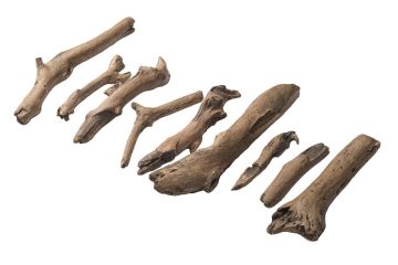 Dimplex CDWD1 driftwood molded logs