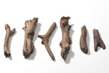 Dimplex CDWD2 driftwood logs